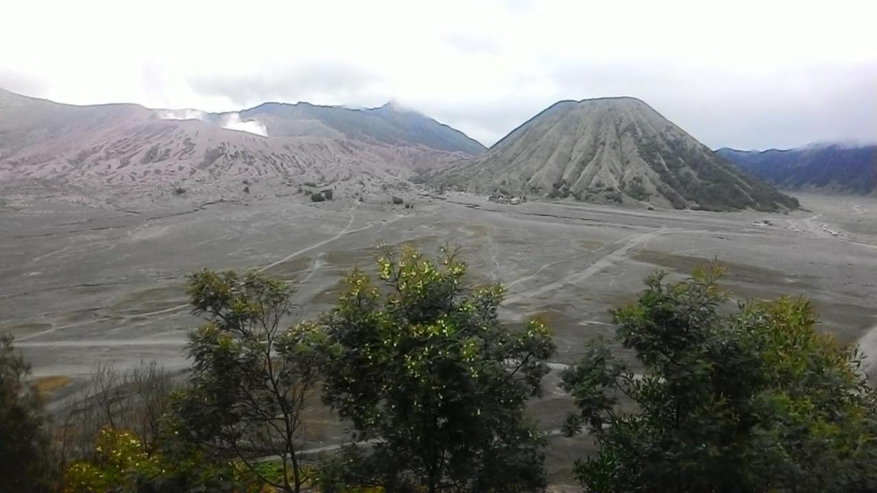 Mentigen Homestay Ngadisari Экстерьер фото