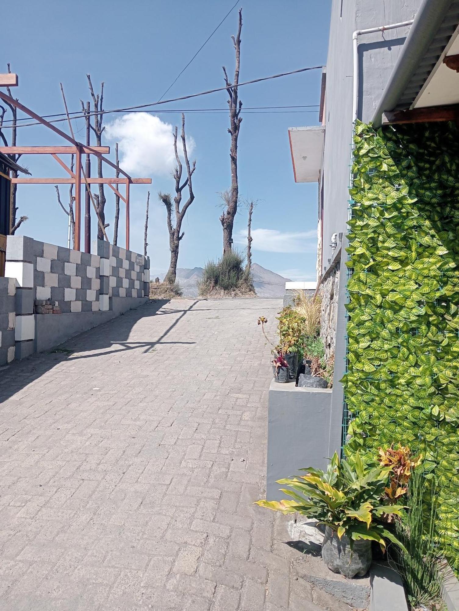 Mentigen Homestay Ngadisari Экстерьер фото